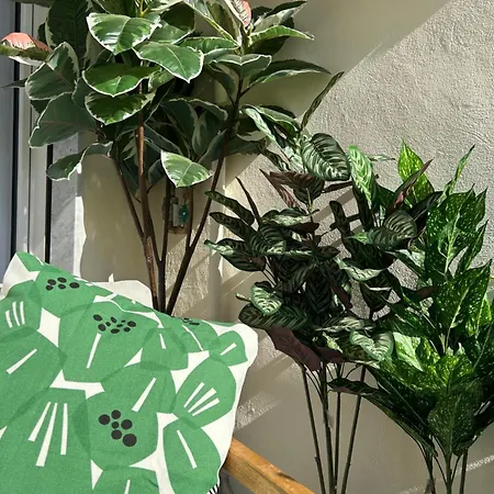 Semesterbostad Luna E Ambra Vacanze